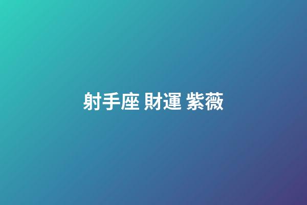 射手座 財運 紫薇